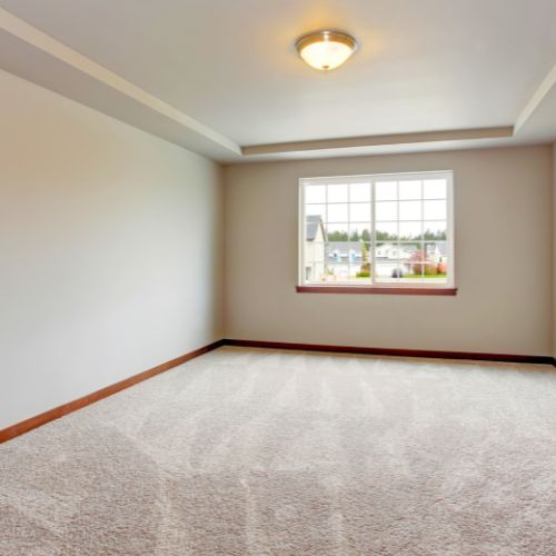 Carpet Cleaning Service Tan Blurb