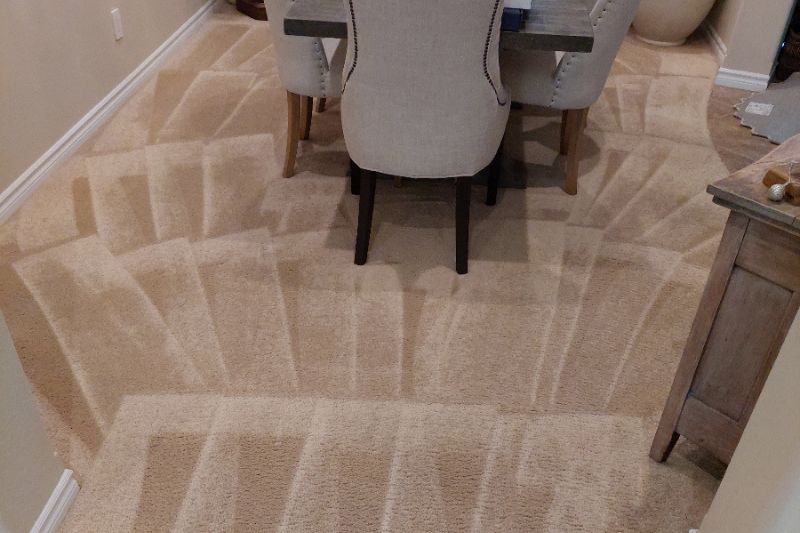 CarpetCleaning Brown in a Home